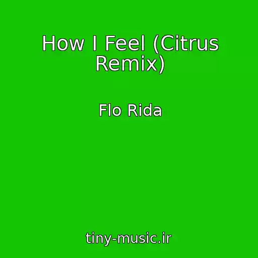 کاور آهنگ How I Feel (Citrus Remix) از Flo Rida