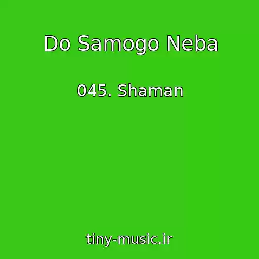 کاور آهنگ Do Samogo Neba از 045. Shaman