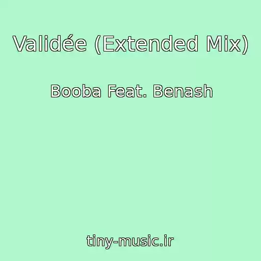 کاور آهنگ Validée (Extended Mix) از Booba Feat. Benash