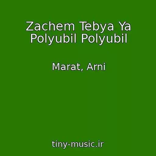 کاور آهنگ Zachem Tebya Ya Polyubil Polyubil از Marat, Arni