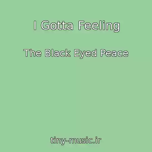 کاور آهنگ I Gotta Feeling از The Black Eyed Peace