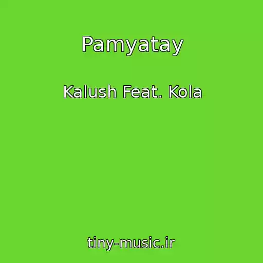 کاور آهنگ Pamyatay از Kalush Feat. Kola