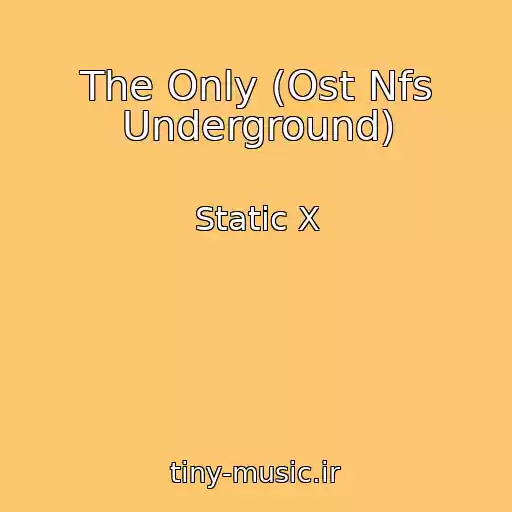 کاور آهنگ The Only (Ost Nfs Underground) از Static X