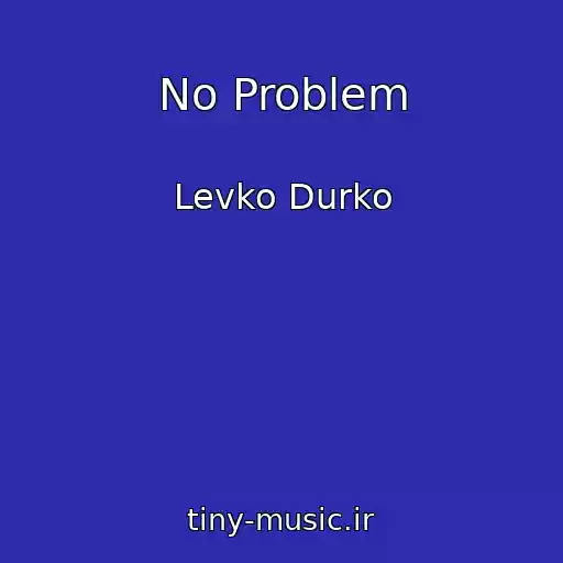 کاور آهنگ No Problem از Levko Durko