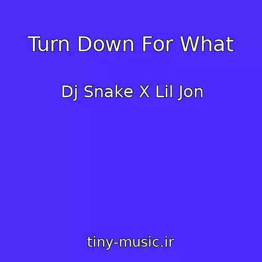 کاور آهنگ Turn Down For What از Dj Snake X Lil Jon