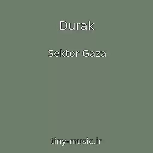 کاور آهنگ Durak از Sektor Gaza