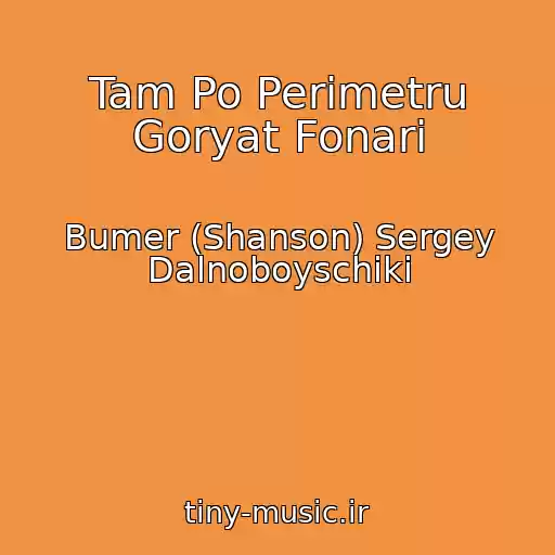 کاور آهنگ Tam Po Perimetru Goryat Fonari از Bumer (Shanson) Sergey Dalnoboyschiki