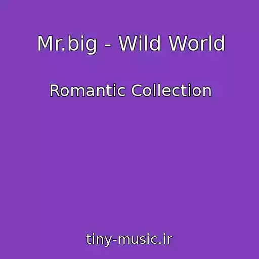 کاور آهنگ Mr.big - Wild World از Romantic Collection