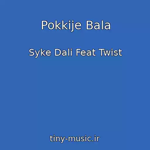 کاور آهنگ Pokkije Bala از Syke Dali Feat Twist