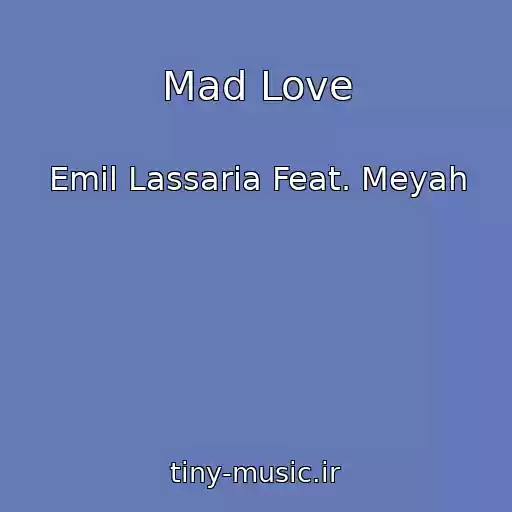کاور آهنگ Mad Love از Emil Lassaria Feat. Meyah
