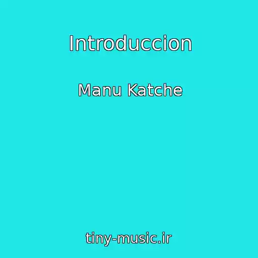 کاور آهنگ Introduccion از Manu Katche