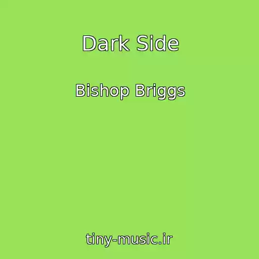 کاور آهنگ Dark Side از Bishop Briggs