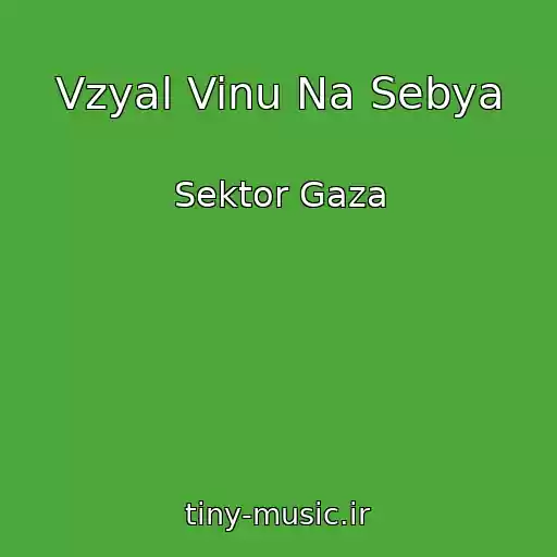 کاور آهنگ Vzyal Vinu Na Sebya از Sektor Gaza