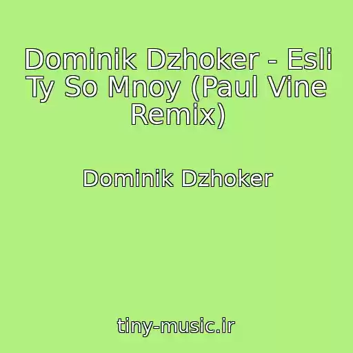کاور آهنگ Dominik Dzhoker - Esli Ty So Mnoy (Paul Vine Remix) از Dominik Dzhoker