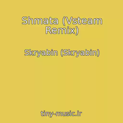 کاور آهنگ Shmata (Vsteam Remix) از Skryabіn (Skryabin)