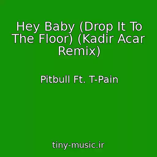 کاور آهنگ Hey Baby (Drop It To The Floor) (Kadir Acar Remix) از Pitbull Ft. T-Pain