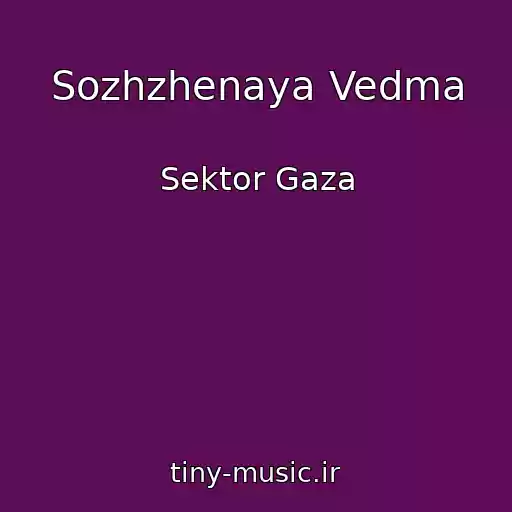 کاور آهنگ Sozhzhenaya Vedma از Sektor Gaza