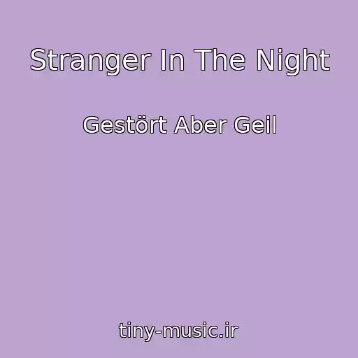 کاور آهنگ Stranger In The Night از Gestört Aber Geil