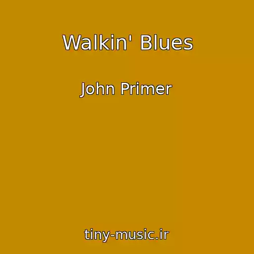 کاور آهنگ Walkin' Blues از John Primer
