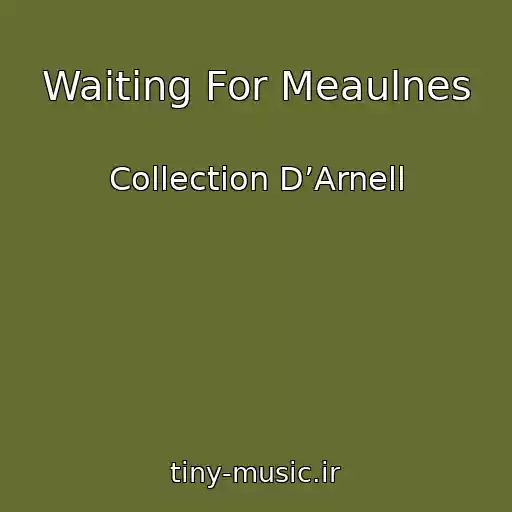 کاور آهنگ Waiting For Meaulnes از Collection D’Arnell