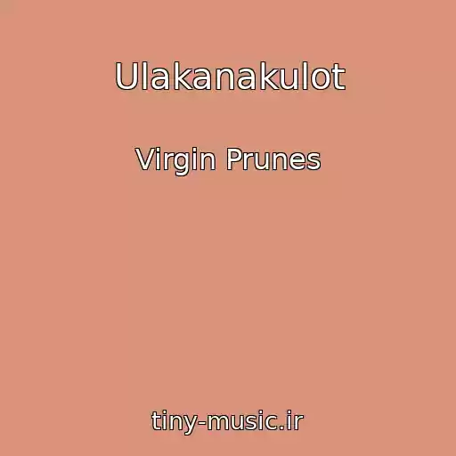 کاور آهنگ Ulakanakulot از Virgin Prunes