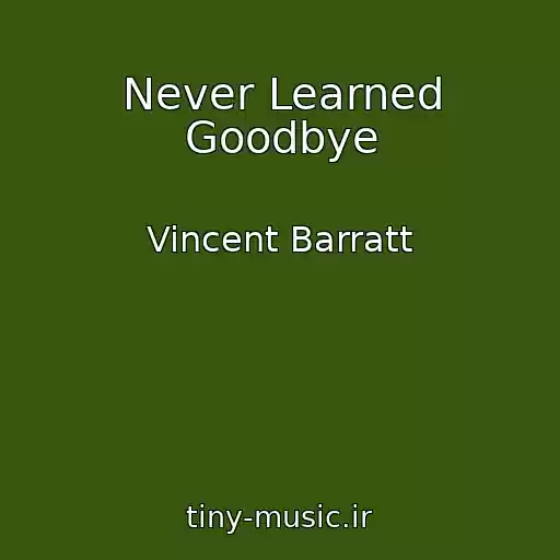 کاور آهنگ Never Learned Goodbye از Vincent Barratt