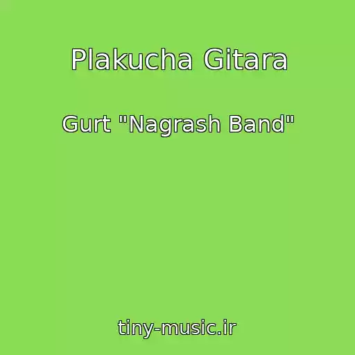 کاور آهنگ Plakucha Gіtara از Gurt "Nagrash Band"
