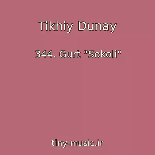 کاور آهنگ Tikhiy Dunay از 344. Gurt "Sokoli"
