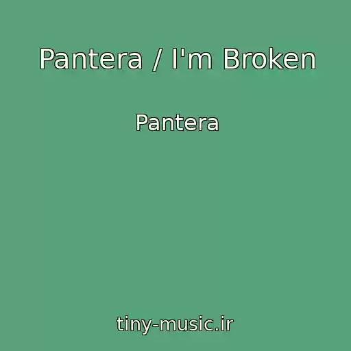 کاور آهنگ Pantera / I'm Broken از Pantera