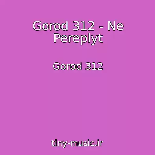 کاور آهنگ Gorod 312 - Ne Pereplyt از Gorod 312