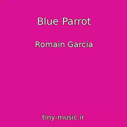کاور آهنگ Blue Parrot از Romain Garcia