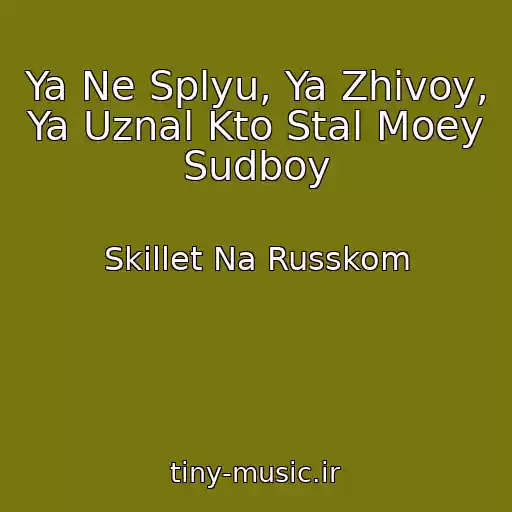 کاور آهنگ Ya Ne Splyu, Ya Zhivoy, Ya Uznal Kto Stal Moey Sudboy از Skillet Na Russkom