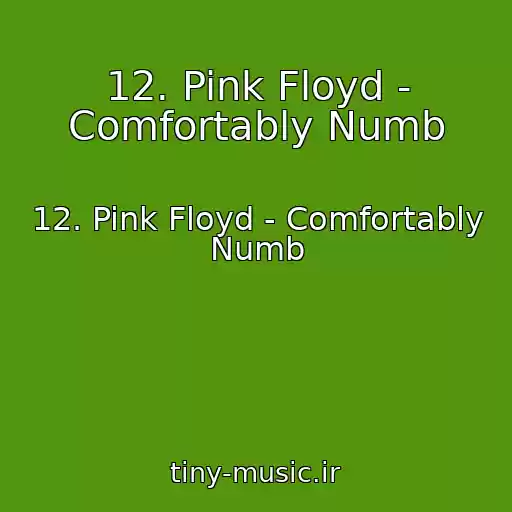کاور آهنگ 12. Pink Floyd - Comfortably Numb از 12. Pink Floyd - Comfortably Numb