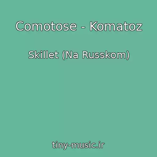 کاور آهنگ Comotose - Komatoz از Skillet (Na Russkom)
