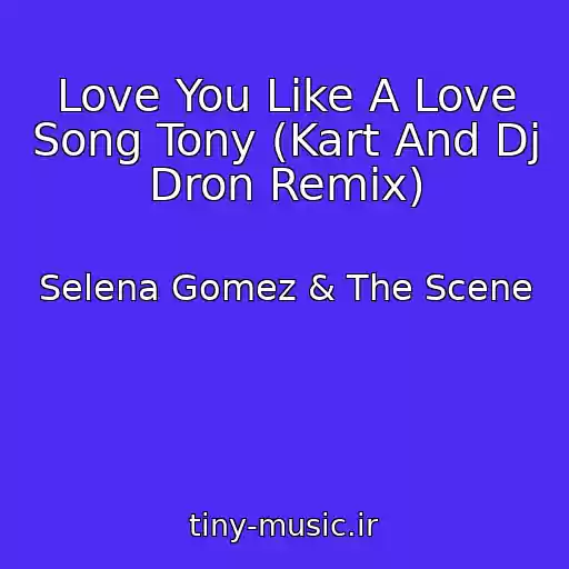 کاور آهنگ Love You Like A Love Song Tony (Kart And Dj Dron Remix) از Selena Gomez & The Scene