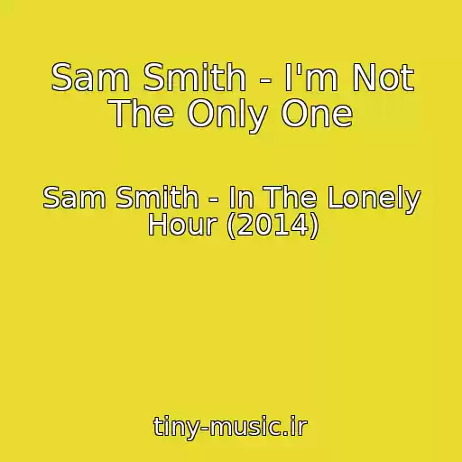 کاور آهنگ Sam Smith - I'm Not The Only One از Sam Smith - In The Lonely Hour (2014)