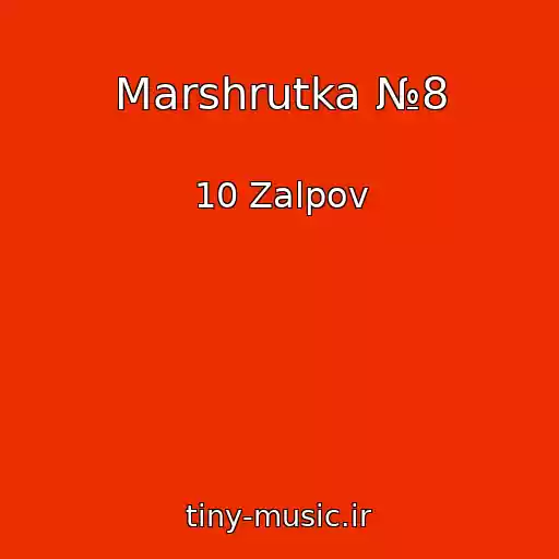 کاور آهنگ Marshrutka №8 از 10 Zalpov