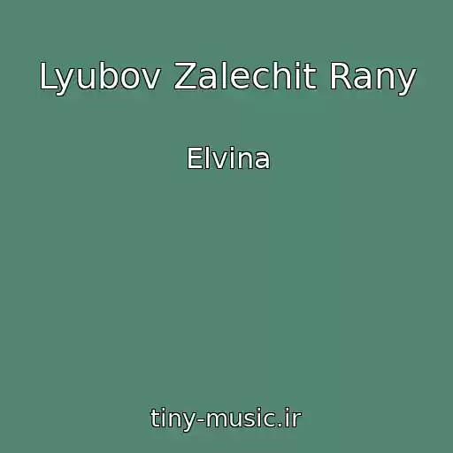 کاور آهنگ Lyubov Zalechit Rany از Elvina
