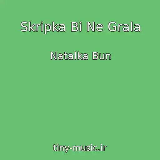 کاور آهنگ Skripka Bi Ne Grala از Natalka Bun