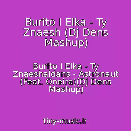 کاور آهنگ Burito I Elka - Ty Znaesh (Dj Dens Mashup) از Burito I Elka - Ty Znaeshaidans - Astronaut (Feat. Oneira)(Dj Dens Mashup)