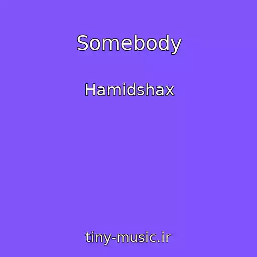کاور آهنگ Somebody از Hamidshax