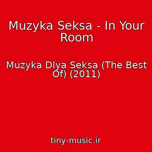 کاور آهنگ Muzyka Seksa - In Your Room از Muzyka Dlya Seksa (The Best Of) (2011)