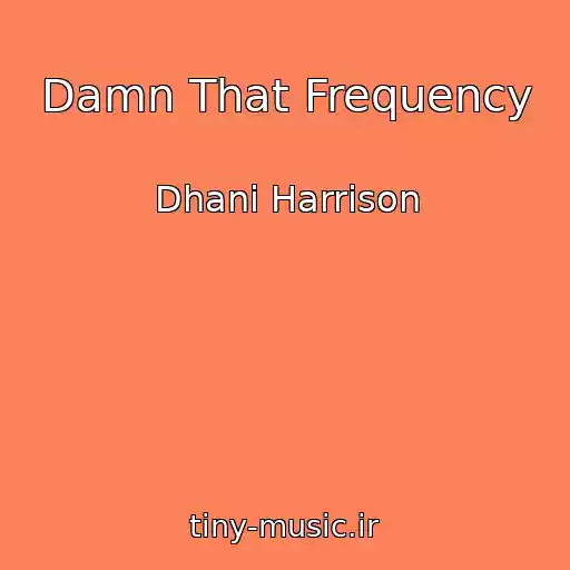 کاور آهنگ Damn That Frequency از Dhani Harrison