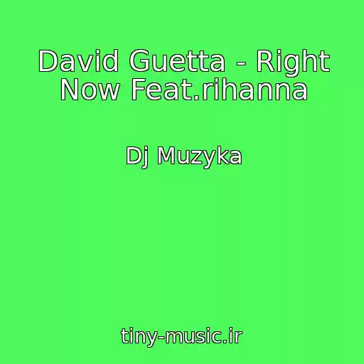 کاور آهنگ David Guetta - Right Now Feat.rihanna از Dj Muzyka