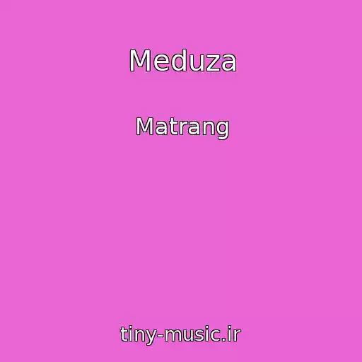 کاور آهنگ Meduza از Matrang