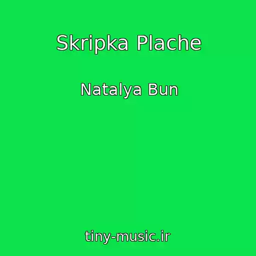 کاور آهنگ Skripka Plache از Natalya Bun