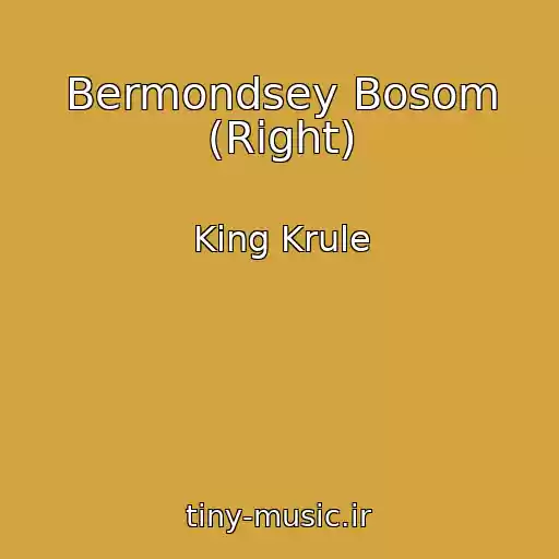کاور آهنگ Bermondsey Bosom (Right) از King Krule