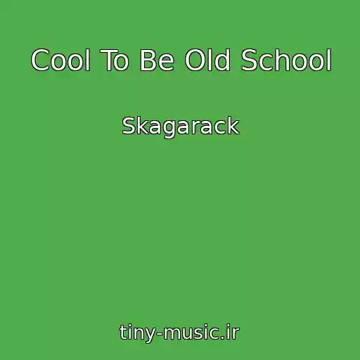 کاور آهنگ Cool To Be Old School از Skagarack