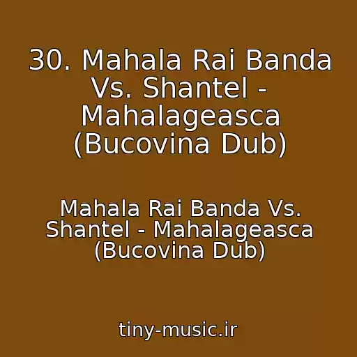 کاور آهنگ 30. Mahala Rai Banda Vs. Shantel - Mahalageasca (Bucovina Dub) از Mahala Rai Banda Vs. Shantel - Mahalageasca (Bucovina Dub)