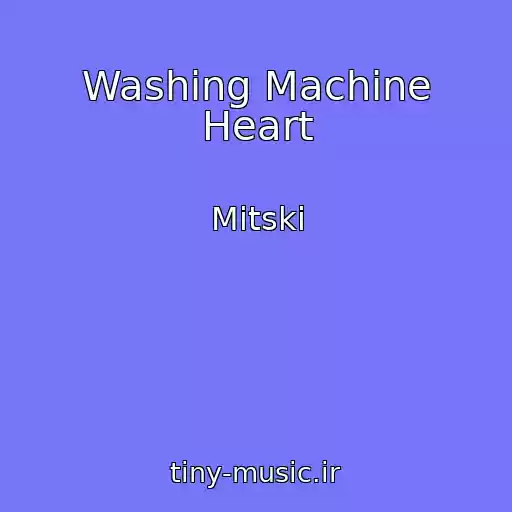کاور آهنگ Washing Machine Heart از Mitski